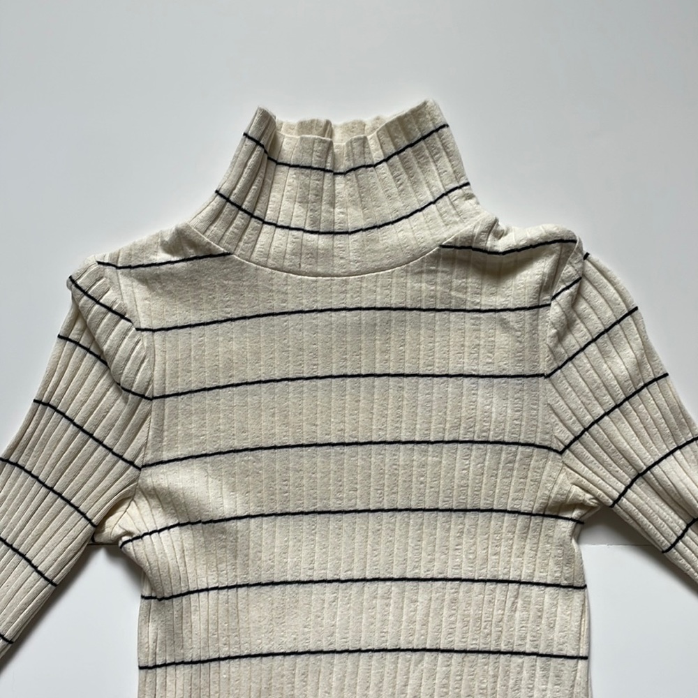 Vince Cream + Navy Ribbed Turtleneck